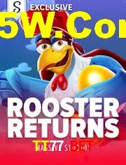 Crash Games Statistics TT77 Bet